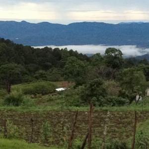 Early morning view from the school following a rainy night!